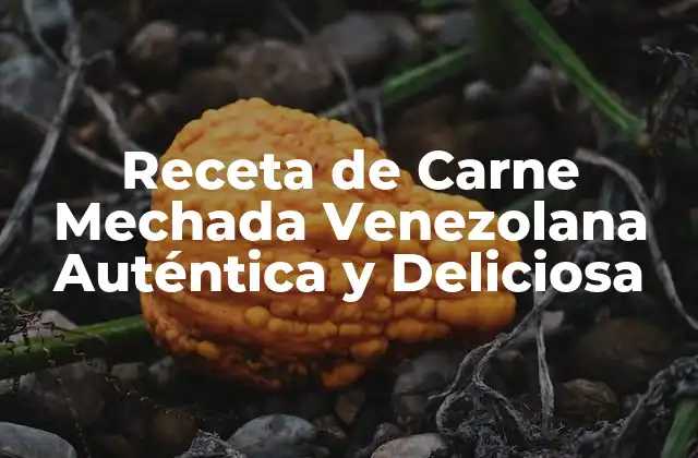 Receta de Carne Mechada Venezolana Auténtica y Deliciosa