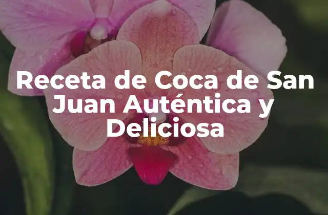 Receta de Coca de San Juan Auténtica y Deliciosa 2 Ingredientes y materiales necesarios para la Coca de San Juan