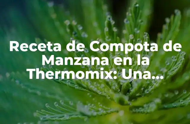 Receta de Compota de Manzana en la Thermomix: una Delicia Saludable
