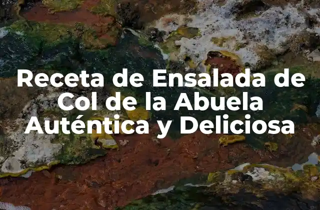 Receta de Ensalada de Col de la Abuela Auténtica y Deliciosa