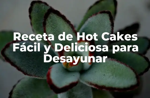 Receta de Hot Cakes Fácil y Deliciosa para Desayunar