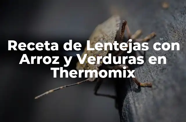 Receta de Lentejas con Arroz y Verduras en Thermomix