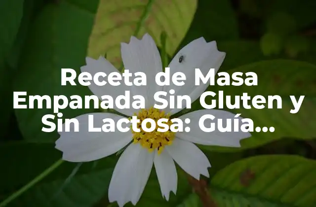 Receta de Masa Empanada sin Gluten y sin Lactosa: Guía Completa 2 ¿Qué es la Masa Empanada Sin Gluten y Sin Lactosa?