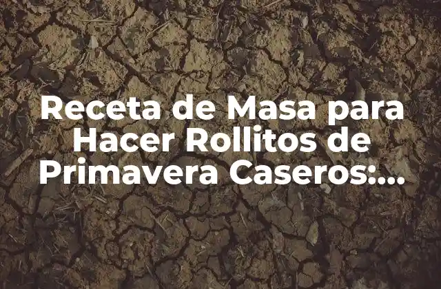 Receta de Masa para Hacer Rollitos de Primavera Caseros: ¡descubre el Secreto!