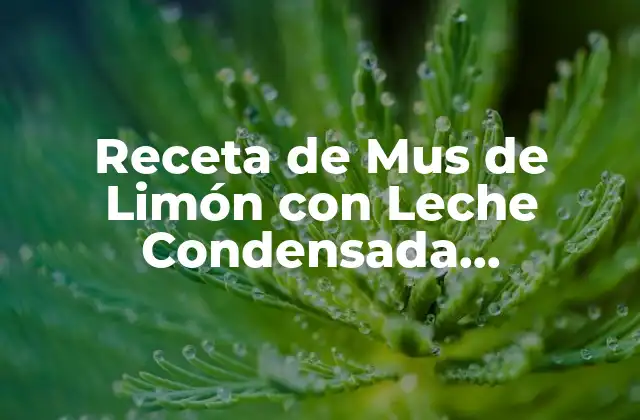 Receta de Mus de Limón con Leche Condensada Thermomix – Preparación Fácil