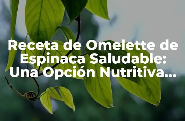 Receta de Omelette de Espinaca Saludable: una Opción Nutritiva para Desayunar