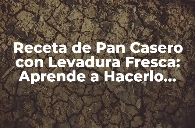 Ingredientes Necesarios para la Receta de Pan Casero con Levadura Fresca