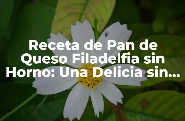 Receta de Pan de Queso Filadelfia sin Horno: una Delicia sin Necesidad de Cocinar