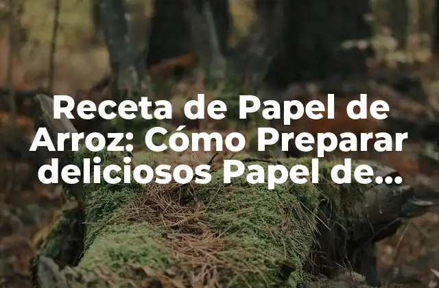 Receta de Papel de Arroz: Cómo Preparar Deliciosos Papel de Arroz en Casa