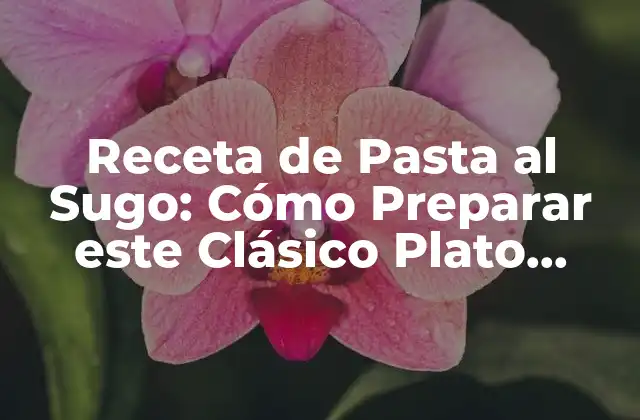 Receta de Pasta Al Sugo: Cómo Preparar Este Clásico Plato Italiano