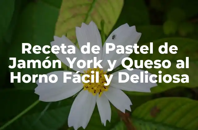 Receta de Pastel de Jamón York y Queso Al Horno Fácil y Deliciosa