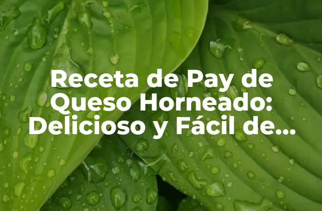 Receta de Pay de Queso Horneado: Delicioso y Fácil de Preparar