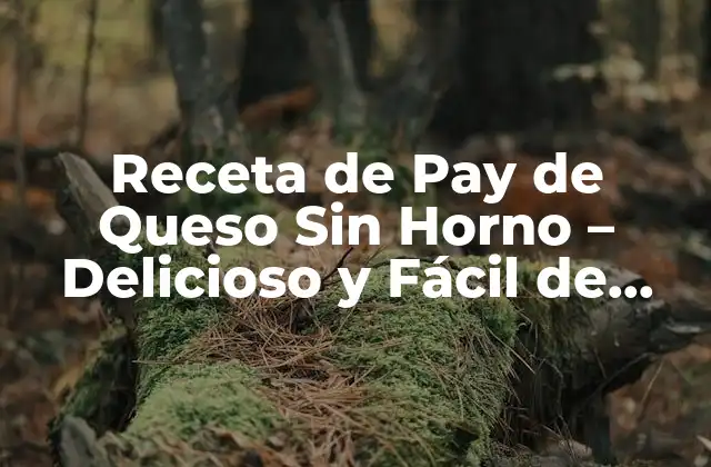 Receta de Pay de Queso sin Horno – Delicioso y Fácil de Preparar