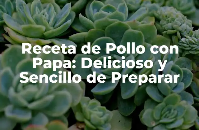 Receta de Pollo con Papa: Delicioso y Sencillo de Preparar 2 Orígenes y Variedades de la Receta de Pollo con Papa