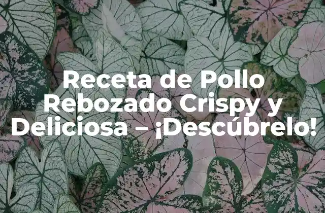 Receta de Pollo Rebozado Crispy y Deliciosa – ¡descúbrelo!