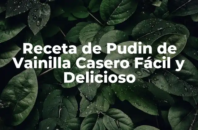 Receta de Pudin de Vainilla Casero Fácil y Delicioso