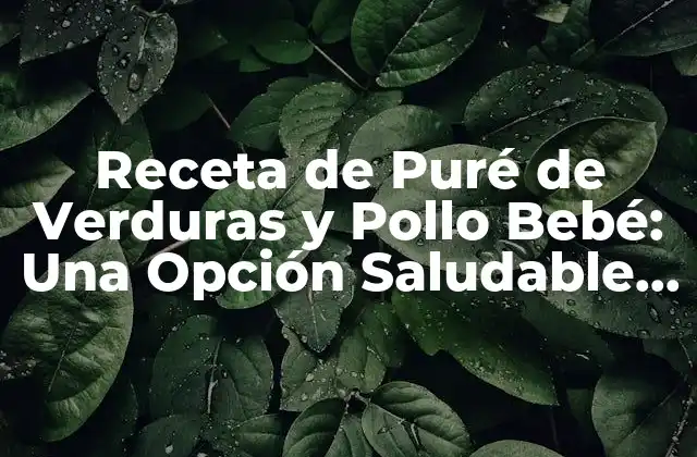 Receta de Puré de Verduras y Pollo Bebé: una Opción Saludable para Bebés