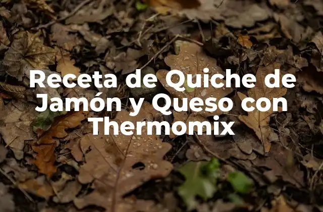 Receta de Quiche de Jamón y Queso con Thermomix