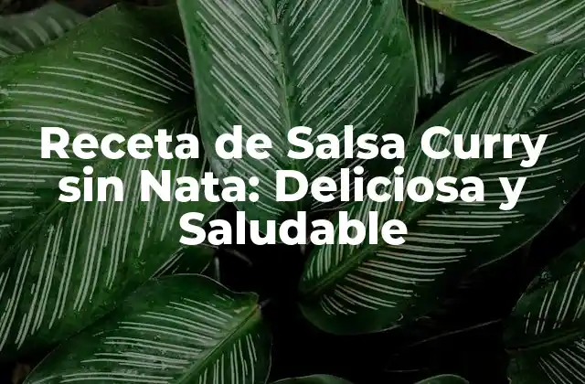 Receta de Salsa Curry sin Nata: Deliciosa y Saludable 2 Ventajas de la Salsa Curry sin Nata
