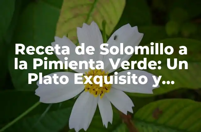 Receta de Solomillo a la Pimienta Verde: un Plato Exquisito y Aromático