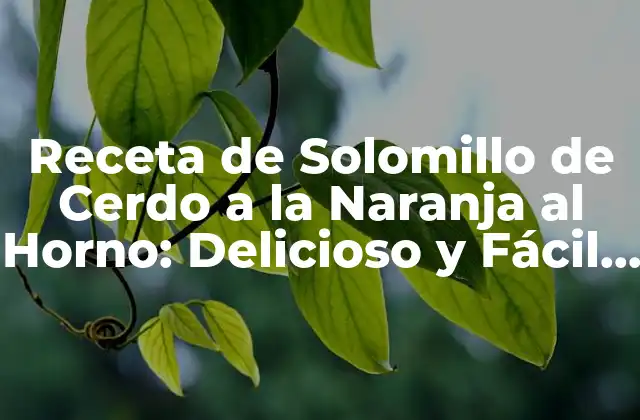 Receta de Solomillo de Cerdo a la Naranja Al Horno: Delicioso y Fácil de Preparar