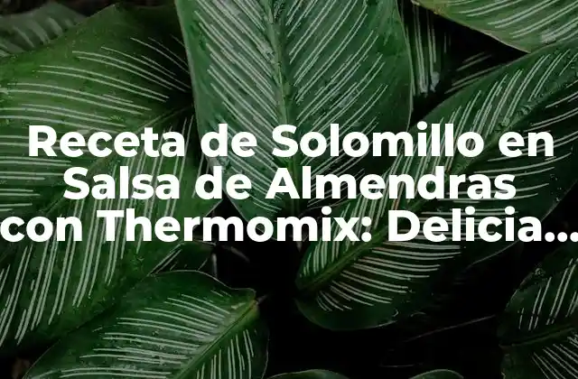 Receta de Solomillo en Salsa de Almendras con Thermomix: Delicia Española en Casa