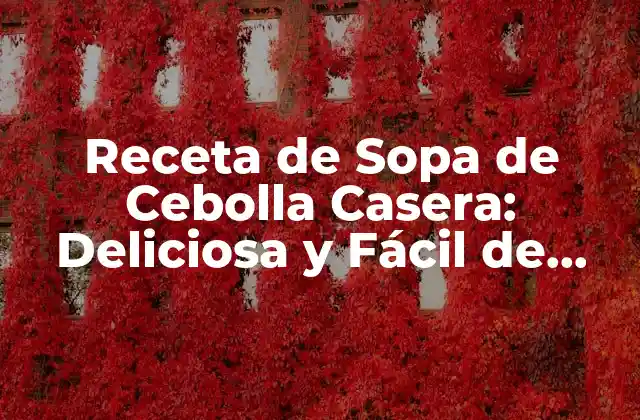 Orígenes y Historia de la Sopa de Cebolla