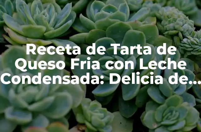 Receta de Tarta de Queso Fria con Leche Condensada: Delicia de Verano
