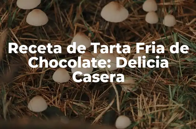 Orígenes de la Tarta Fria de Chocolate