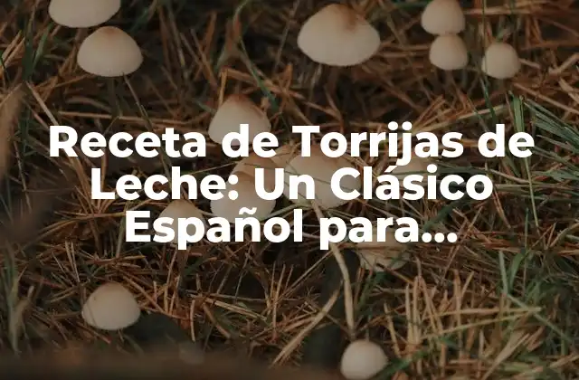 Orígenes y Variaciones de la Receta de Torrijas de Leche