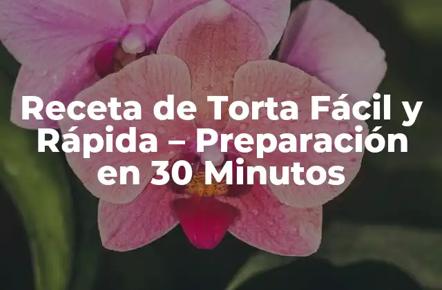 Receta de Torta Fácil y Rápida – Preparación en 30 Minutos