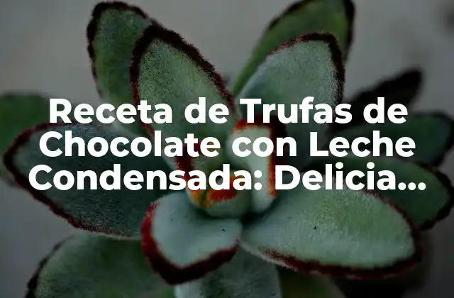 ¿Qué son las Trufas de Chocolate?