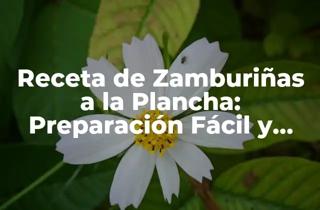 Receta de Zamburiñas a la Plancha: Preparación Fácil y Deliciosa