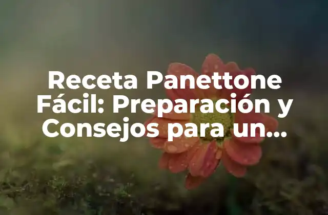 Receta Panettone Fácil: Preparación y Consejos para un Delicioso Panettone en Casa