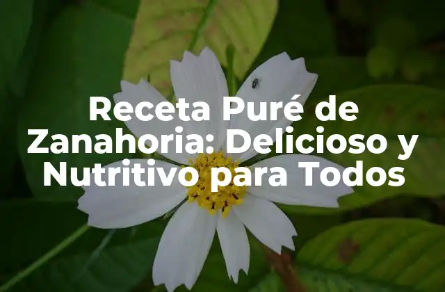 Receta Puré de Zanahoria: Delicioso y Nutritivo para Todos