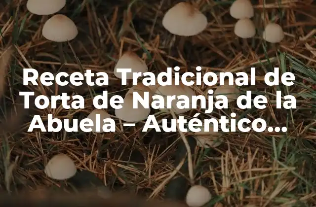 Receta Tradicional de Torta de Naranja de la Abuela - Auténtico Sabor Casero 2 Orígenes de la Torta de Naranja de la Abuela - Una Historia de Amor y Tradición