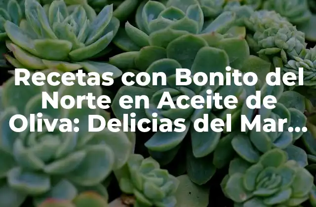 Recetas con Bonito Del Norte en Aceite de Oliva: Delicias Del Mar Mediterráneo