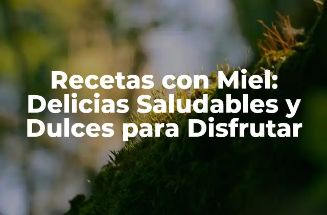 Recetas con Miel: Delicias Saludables y Dulces para Disfrutar