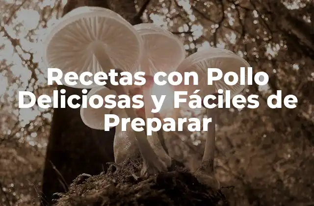 Recetas con Pollo Deliciosas y Fáciles de Preparar