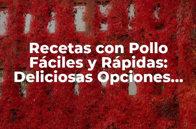 Recetas con Pollo Fáciles y Rápidas: Deliciosas Opciones para Todos