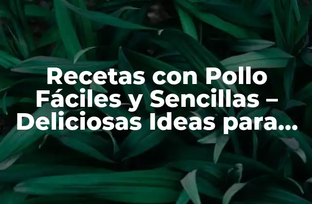 Recetas con Pollo Fáciles y Sencillas – Deliciosas Ideas para Cocinar
