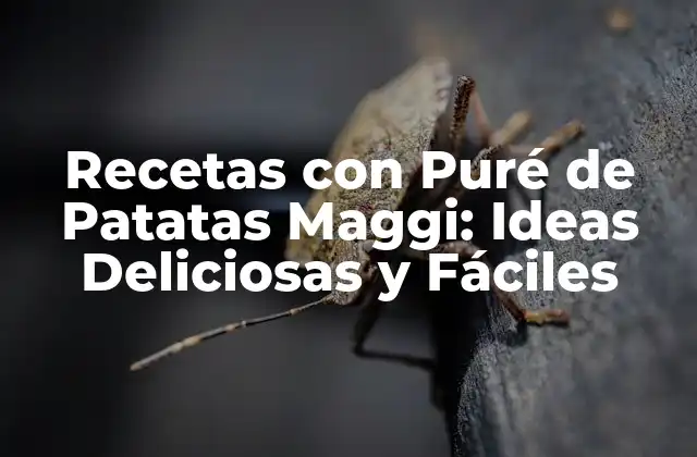Recetas con Puré de Patatas Maggi: Ideas Deliciosas y Fáciles