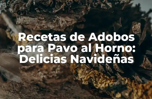 Recetas de Adobos para Pavo Al Horno: Delicias Navideñas
