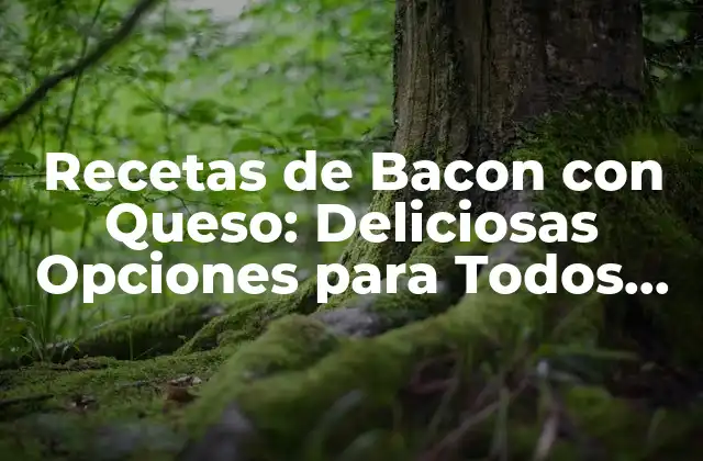 Recetas de Bacon con Queso: Deliciosas Opciones para Todos los Gustos