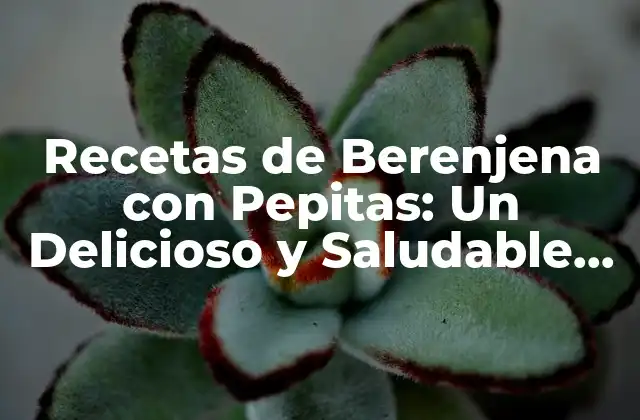 Beneficios Nutricionales de la Berenjena con Pepitas