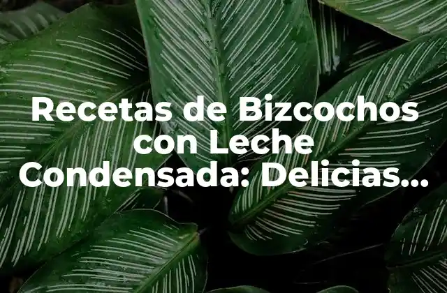 Recetas de Bizcochos con Leche Condensada: Delicias Dulces y Fáciles de Preparar