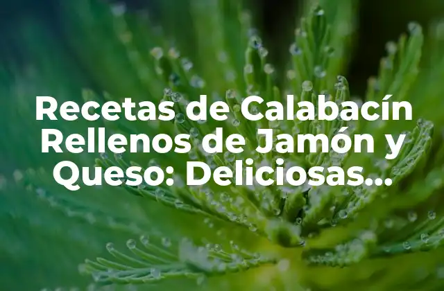 Recetas de Calabacín Rellenos de Jamón y Queso: Deliciosas Opciones para Tu Mesa