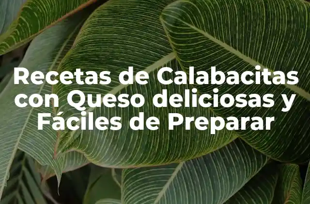 Recetas de Calabacitas con Queso Deliciosas y Fáciles de Preparar