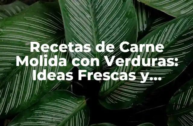 Recetas de Carne Molida con Verduras: Ideas Frescas y Saludables