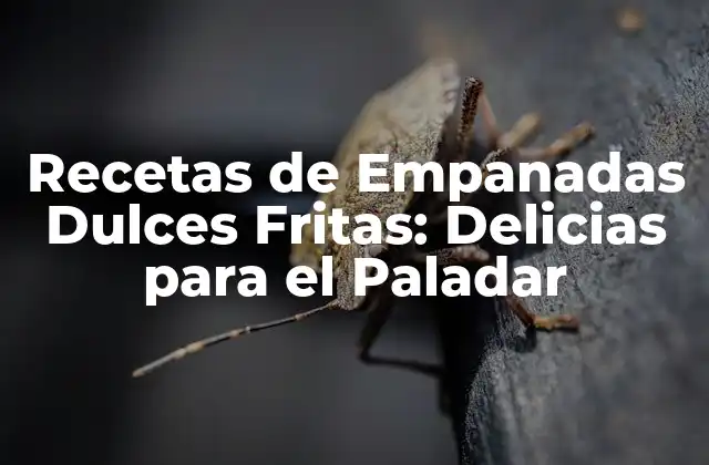 Recetas de Empanadas Dulces Fritas: Delicias para el Paladar